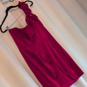 Bisou Bisou One Shoulder Fuchsia Dress